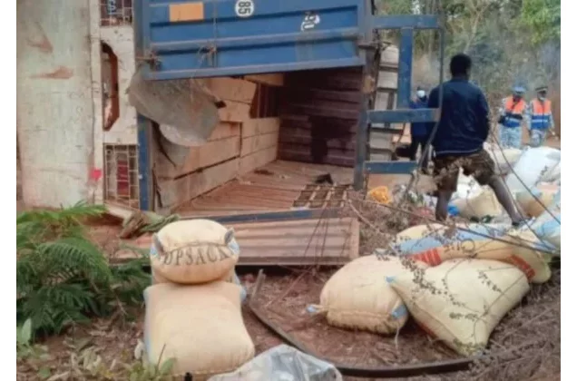  Côte d'Ivoire : 14 morts et 21 blessés enregistrés dans un accident de la circulation à Madinani