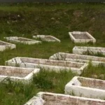 Cinq (05) ans après son décès, il est nommé au sein d'un comité pour préparer les futures élections