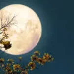 Pleine Lune du mois de juillet 2025 : une impulsion décisive pour ces 03 signes du zodiaque 
