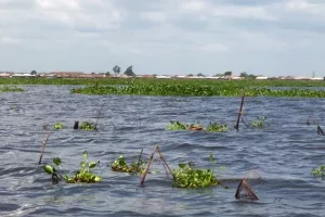 Lac Nokoué et lagune de Porto-Novo : le gouvernement lance les études de la phase 3 du projet de réhabilitation