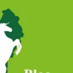 Communales 2026 : le Bloc Républicain prône une mobilité urbaine moderne et durable