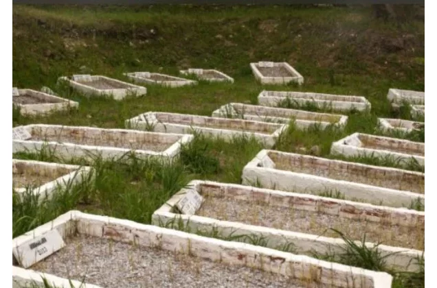 Cinq (05) ans après son décès, il est nommé au sein d'un comité pour préparer les futures élections