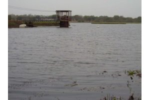 Bénin : Wadagni annonce la construction imminente du pont sur le fleuve Okpara