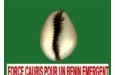 Présidentielle 2026 au Bénin : un jeune cadre pressenti comme colistier de Paul Hounkpè au sein des FCBE