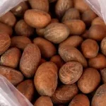 Petit cola : entre vertus traditionnelles et risques d'une consommation excessive