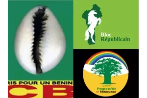 Bénin : la CENA dévoile le taux de participation des communales du 11 janvier