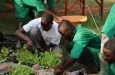 Bénin : le gouvernement annonce la construction de 03 écoles professionnelles de formation agricole