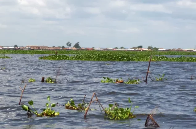 Lac Nokoué et lagune de Porto-Novo : le gouvernement lance les études de la phase 3 du projet de réhabilitation
