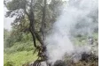 Inde : un deuxième crash d'avion a fait des morts dans les montagnes de l'Himalaya