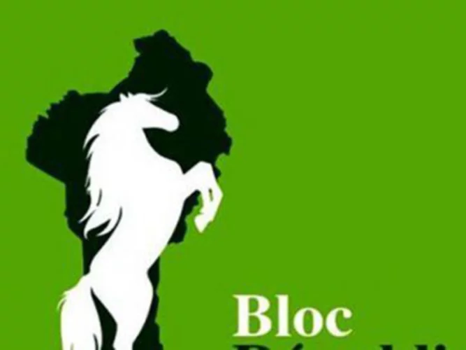  Présidentielle de 2026 : ce qu'il faut savoir de la désignation du duo du Bloc Républicain 
