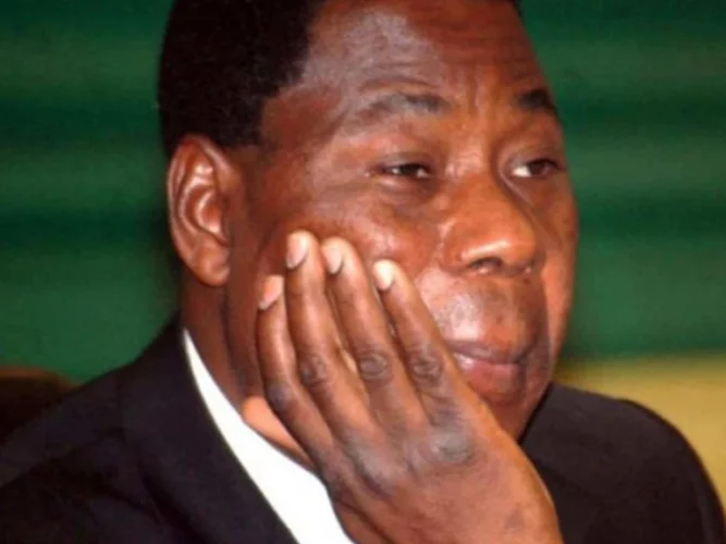 Issue du vote de révision de la constitution : députés LD, combien sont-ils encore avec Boni Yayi ?