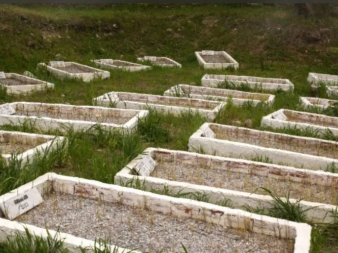 Cinq (05) ans après son décès, il est nommé au sein d'un comité pour préparer les futures élections