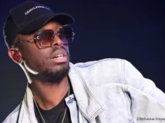 Dadju gifle un spectateur en plein concert : l'incident qui enflamme les réseaux sociaux