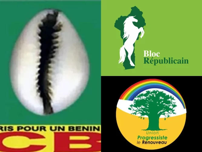 Bénin : la CENA dévoile le taux de participation des communales du 11 janvier