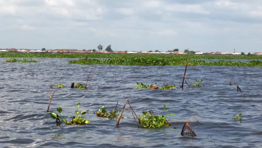 Lac Nokoué et lagune de Porto-Novo : le gouvernement lance les études de la phase 3 du projet de réhabilitation